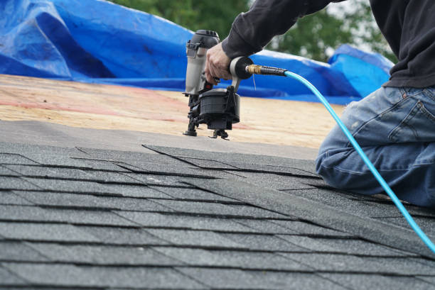 Best Storm Damage Roof Repair  in Portageville, MO